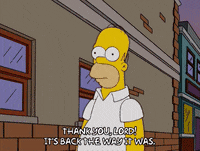 homer simpson GIF