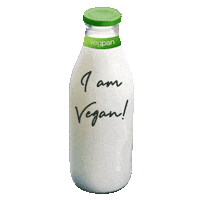 Food Cooking Sticker by vegpan