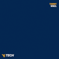 Wvu Tech GIF by WVU Tech Golden Bears