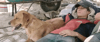 mexico linea amarilla GIF