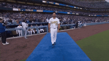 Los Angeles Dodgers Sport GIF by MLB