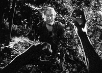 akira kurosawa GIF by Maudit