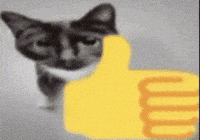 Cat Ok GIF