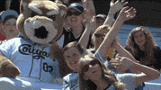 heart valentines GIF by Kane County Cougars