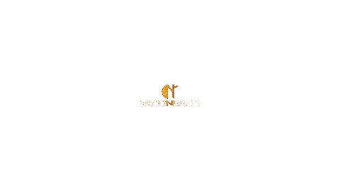 woodnbrain giphyupload Sticker
