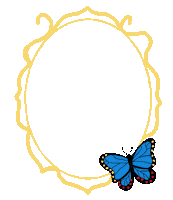 Butterfly Frame Sticker