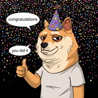 Happy Shiba Inu GIF by Doge Pound