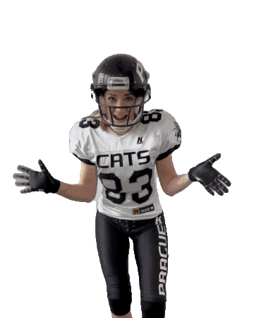 PragueBlackCats americanfootball pbc pbp tacklefootball Sticker