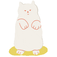 Cat What Sticker