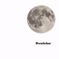 Spiekeroog GIF by Wattnbar