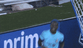 Goalcelebration GIF by National Women's Soccer League