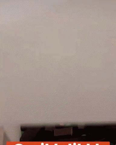 tomfreo giphyupload GIF