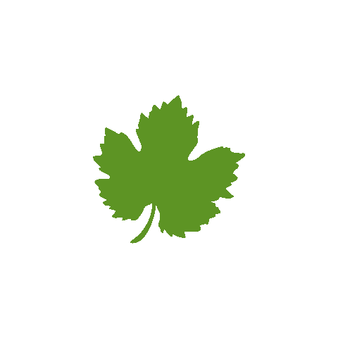 Wine Energy Sticker by Dom Brial