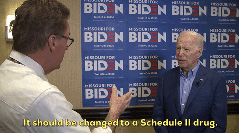 Joe Biden Marijuana GIF