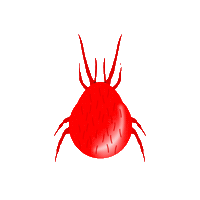 growliv growliv persimilis persiliv Sticker