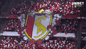 Celebrate Pro League GIF by Unibet Belgium