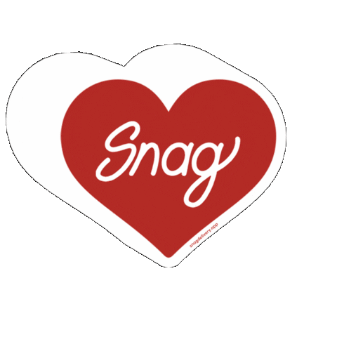 SnagDelivery giphygifmaker college delivery deliver Sticker