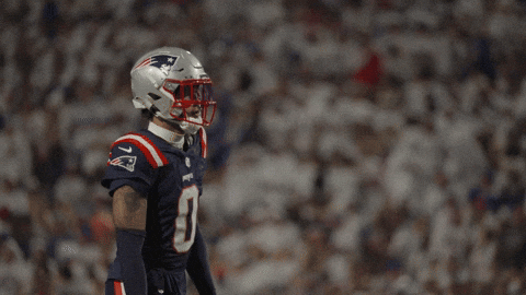 Football Nfl GIF by New England Patriots