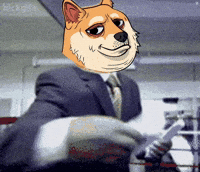 Wall Street Dogecoin GIF by Doge Pound
