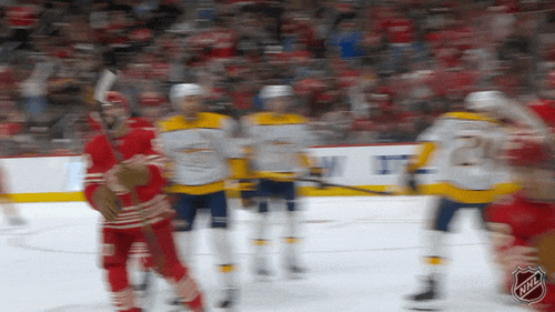 Happy National Hockey League GIF by NHL
