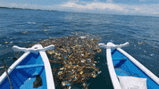 Earth Day GIF by 4ocean