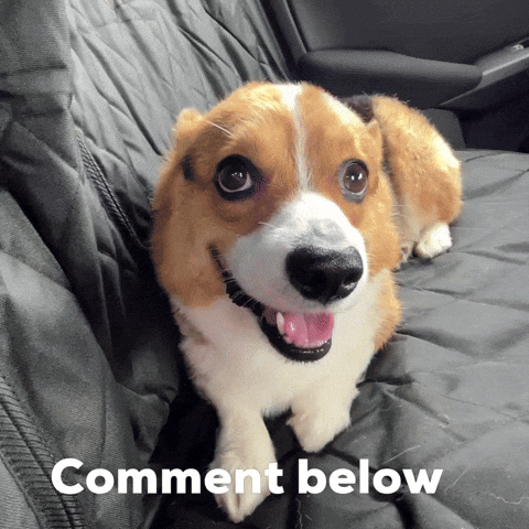 Dog Comment Below GIF