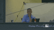 Major League Baseball Sport GIF by MLB