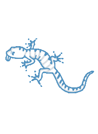 El Paso Volunteer Sticker by El Paso Giving Day