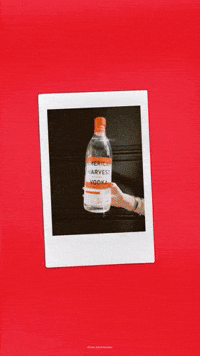 Vodka Tonic Cocktails GIF by American Harvest Vodka