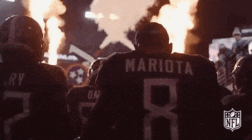 2018 Nfl Football GIF by NFL