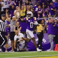 High Five College Football GIF by LSU Tigers