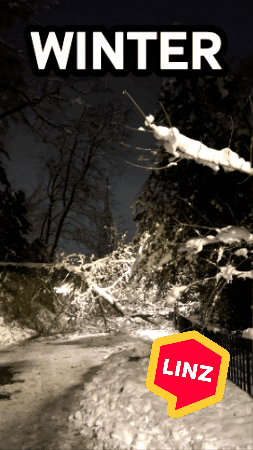 Snow Wow GIF by Linz News