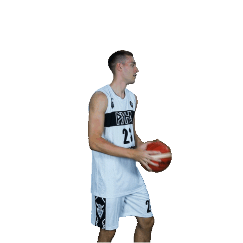 Basketball Basket Sticker by PBC Runa-basket