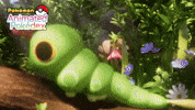 Spring Pig GIF by Pokémon