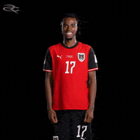 Fifa World Cup Austria GIF by Respective