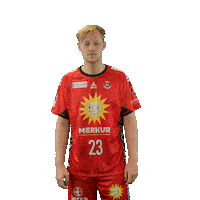 Handball Sticker by DAIKIN HBL