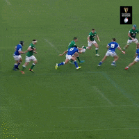 Irish Rugby GIF by Guinness Six Nations