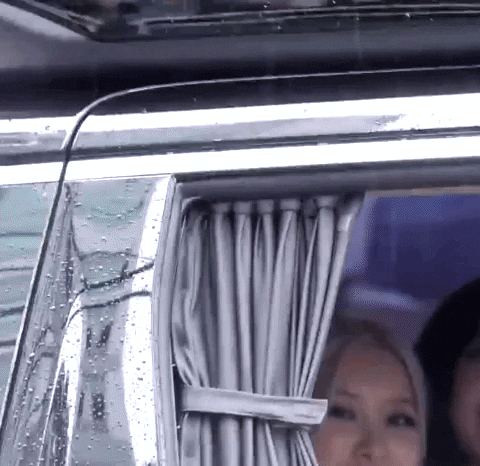 tintuckpop giphyupload GIF