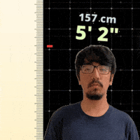Five Foot Two GIF