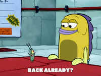season 6 patty caper GIF by SpongeBob SquarePants
