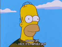 homer simpson episode 6 GIF