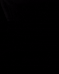 Teamnlshorttrack GIF by Shapevisions