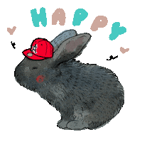 Happy Rabbit Sticker