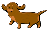 Sausage Dog Sticker by Stefanie Shank