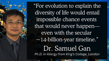 Diversity Evolution GIF