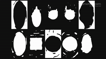 Animated Liquid Loops Vertisal Stories
