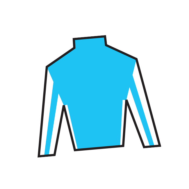 Horse Racing Sticker by Kentucky Derby