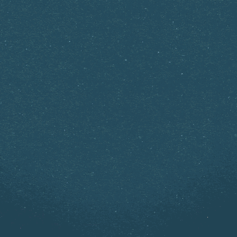 Foxtv GIF by CallMeKatFOX