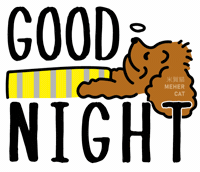 睡 Good Night GIF