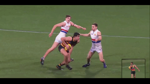 afl darcy fogarty GIF by Adelaide Crows